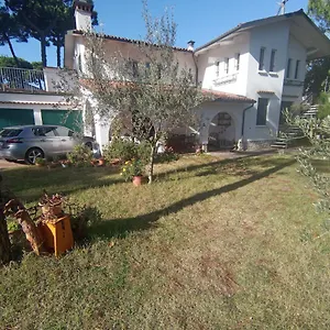 Pineta , Milano Marittima Italia